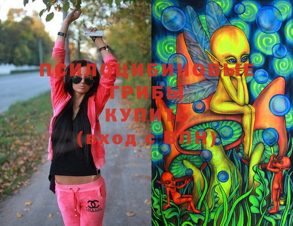 крисы Осташков