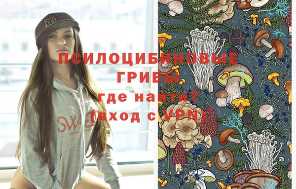 PSILOCYBIN Бикин