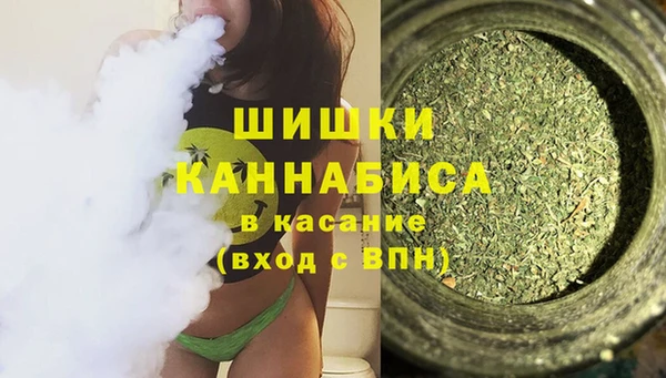 apvp Нягань