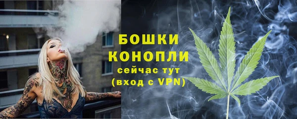 крисы Осташков