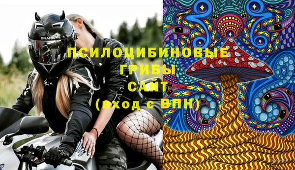 крисы Осташков
