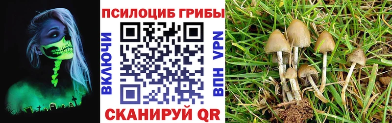 Псилоцибиновые грибы GOLDEN TEACHER  Александров 