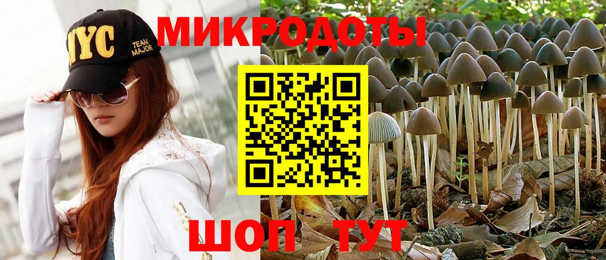 Александров  Галлюциногенные грибы Psilocybe  Вход с VPN 