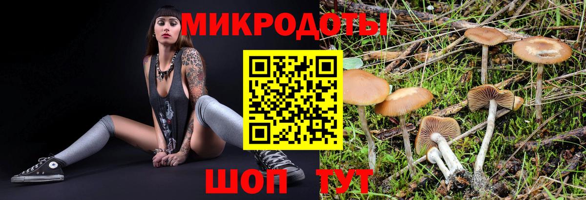 Галлюциногенные грибы ЛСД Александров