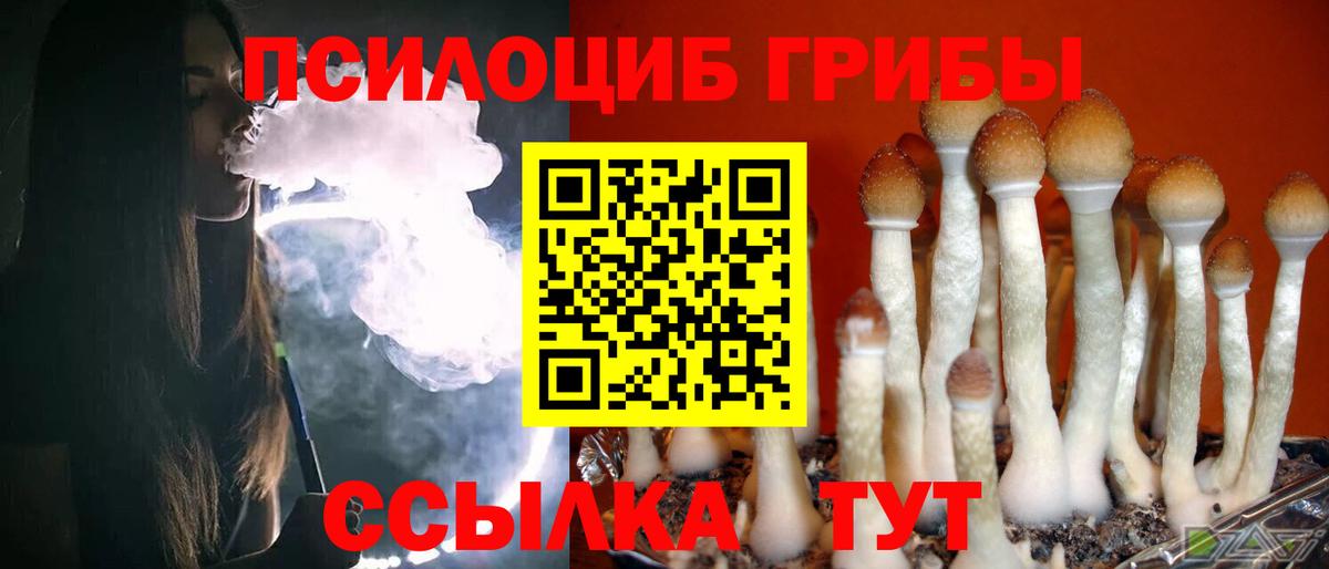 Псилоцибиновые грибы Magic Shrooms  Псилоцибиновые грибы GOLDEN TEACHER  Александров 