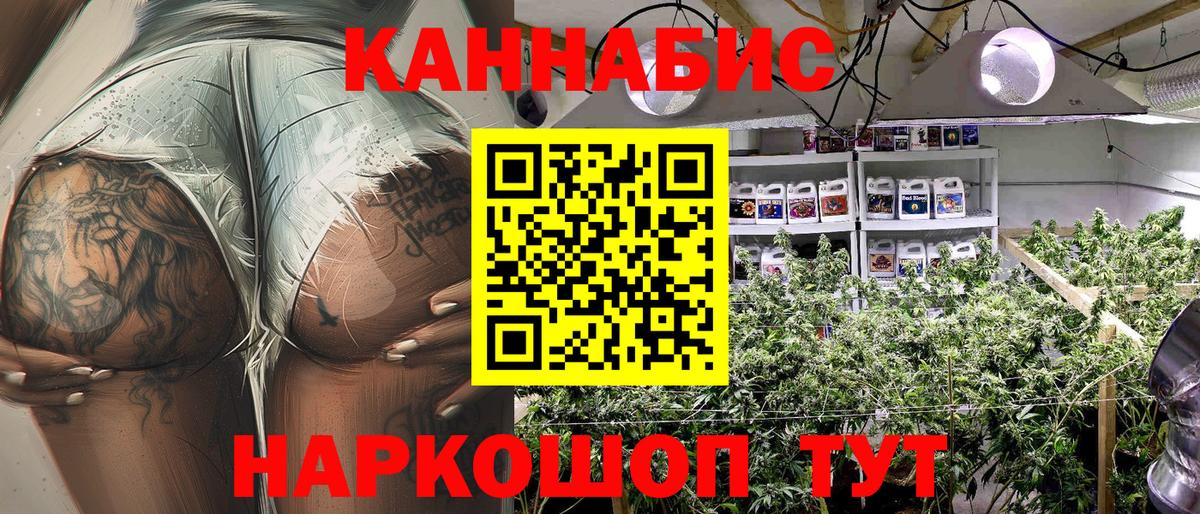 Конопля семена Александров